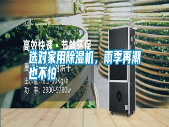 常見問題選對家用除濕機，雨季再潮也不怕