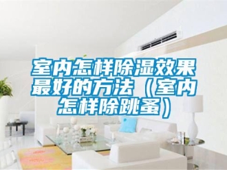 企業(yè)新聞室內(nèi)怎樣除濕效果最好的方法（室內(nèi)怎樣除跳蚤）