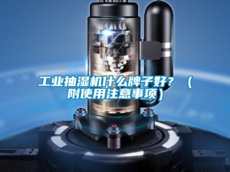 企業(yè)新聞工業(yè)抽濕機什么牌子好？（附使用注意事項）