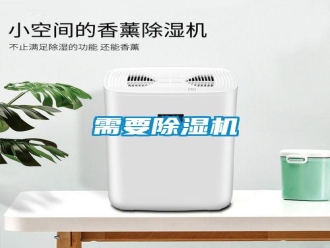 常見問題需要除濕機(jī)