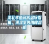 湖北孝感耐高溫除濕機，潮濕室內(nèi)用除濕機