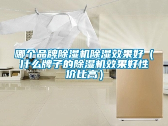 企業(yè)新聞哪個品牌除濕機除濕效果好（什么牌子的除濕機效果好性價比高）