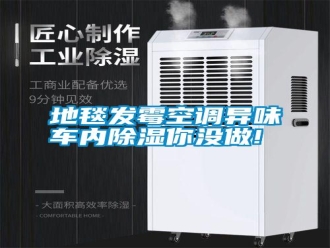 常見問題地毯發(fā)霉空調(diào)異味車內(nèi)除濕你沒做!