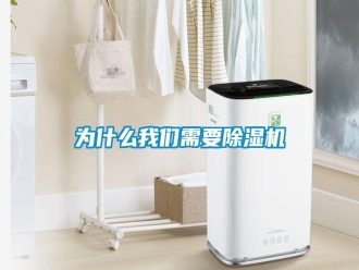 常見問題為什么我們需要除濕機(jī)