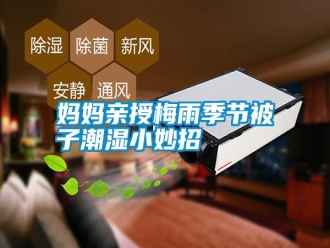 常見問題媽媽親授梅雨季節(jié)被子潮濕小妙招
