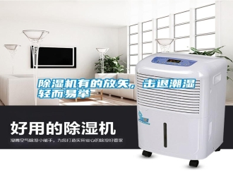 常見問題除濕機有的放矢，擊退潮濕輕而易舉