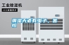 潮濕天老有蟲子，害怕