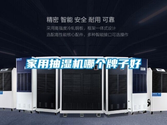企業(yè)新聞家用抽濕機(jī)哪個牌子好