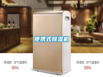 行業(yè)新聞便攜式除濕機(jī)