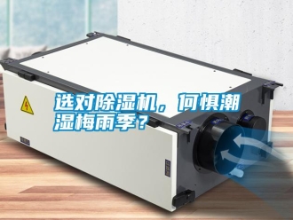 常見問題選對除濕機，何懼潮濕梅雨季？