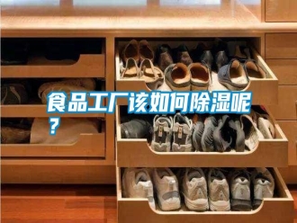 知識百科食品工廠該如何除濕呢？