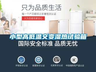 常見問(wèn)題小型高低溫交變濕熱試驗(yàn)箱