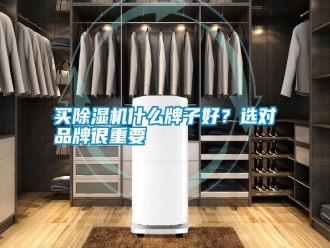 常見(jiàn)問(wèn)題買(mǎi)除濕機(jī)什么牌子好？選對(duì)品牌很重要