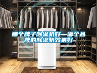 企業(yè)新聞哪個牌子除濕機好—哪個品牌的除濕機效果好