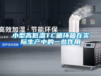 常見問(wèn)題小型高低溫TC循環(huán)箱在實(shí)際生產(chǎn)中的一些作用