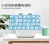 除濕機(jī)哪些牌子好？精品除濕機(jī)品牌推薦（內(nèi)附除濕機(jī)原理圖解）