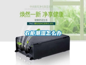 常見問題衣柜潮濕怎么辦