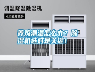 常見問題養(yǎng)雞潮濕怎么辦？除濕機(jī)選對是關(guān)鍵！