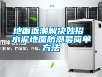 企業(yè)新聞地面返潮解決妙招 水泥地面防潮最簡單方法