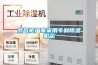 氮氣柜廠家采用專利除濕機(jī)芯