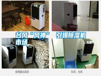 常見(jiàn)問(wèn)題臺(tái)風(fēng)“風(fēng)神” 引爆除濕機(jī)市場(chǎng)