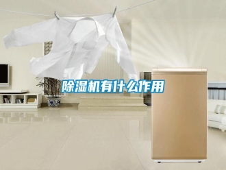 常見問題除濕機(jī)有什么作用