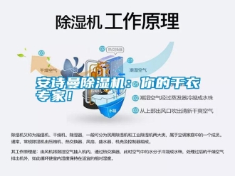 常見問題安詩曼除濕機：你的干衣專家！