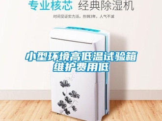 常見問(wèn)題小型環(huán)境高低溫試驗(yàn)箱維護(hù)費(fèi)用低