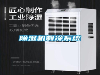 常見(jiàn)問(wèn)題除濕機(jī)制冷系統(tǒng)