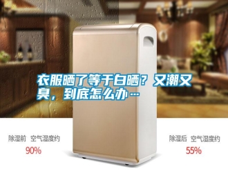 常見(jiàn)問(wèn)題衣服曬了等于白曬？又潮又臭，到底怎么辦…