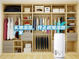 常見問題買加濕器，找正規(guī)加濕器廠家